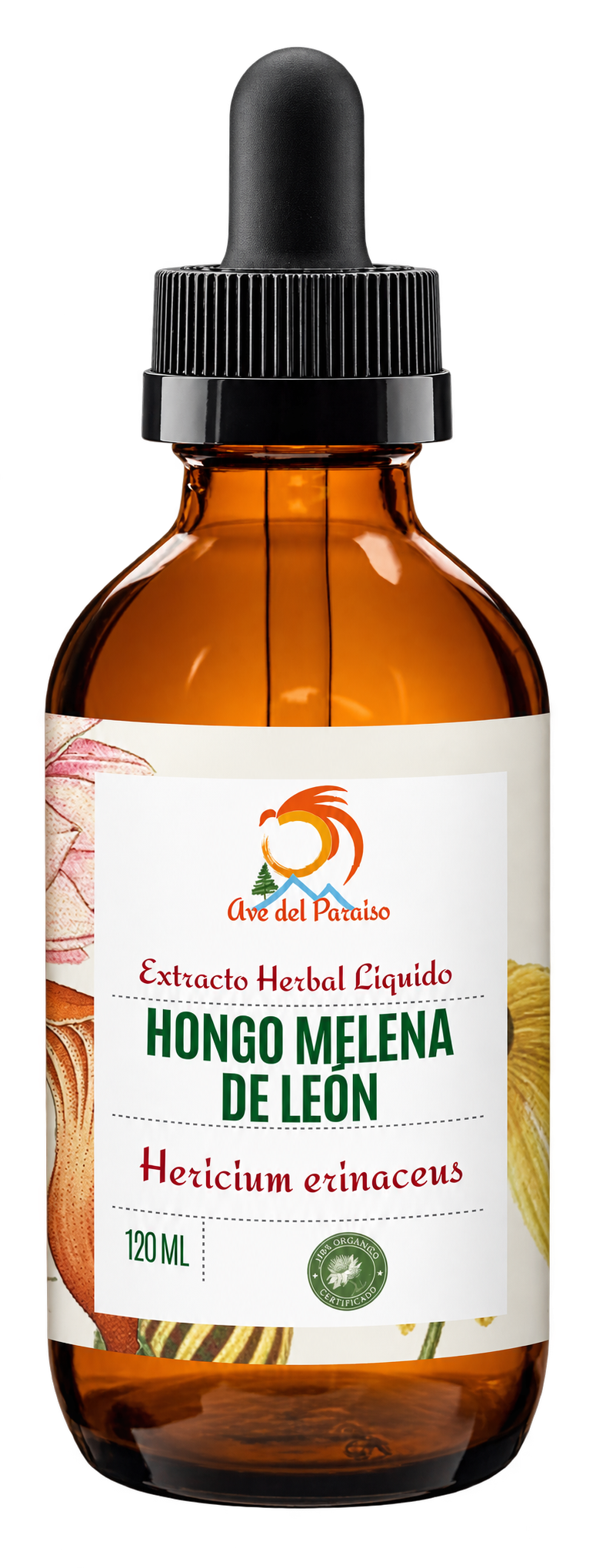 Extracto de Hongo Melena de León, Frasco con 120 ML | Apoyo Nootrópico para Concentración, Memoria y Claridad Mental.