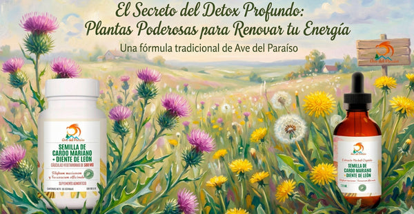 Cardo Mariano y Diente de León: Los Guardianes de tu Hígado