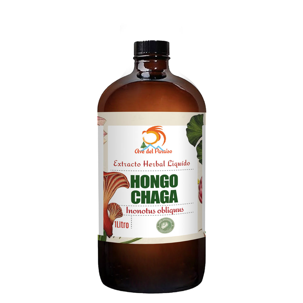 Hongo Chaga, Extracto Orgánico 60ml - Acai Berry Orgánico