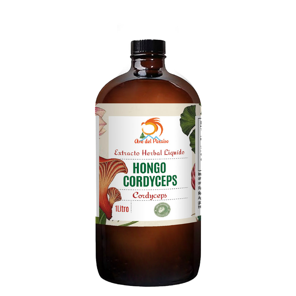 Hongo Cordyceps, Extracto orgánico - Acai Berry Orgánico
