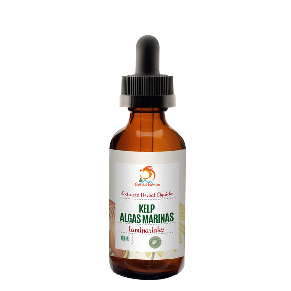 Kelp-Algas Marinas, Extracto Orgánico - Acai Berry Orgánico