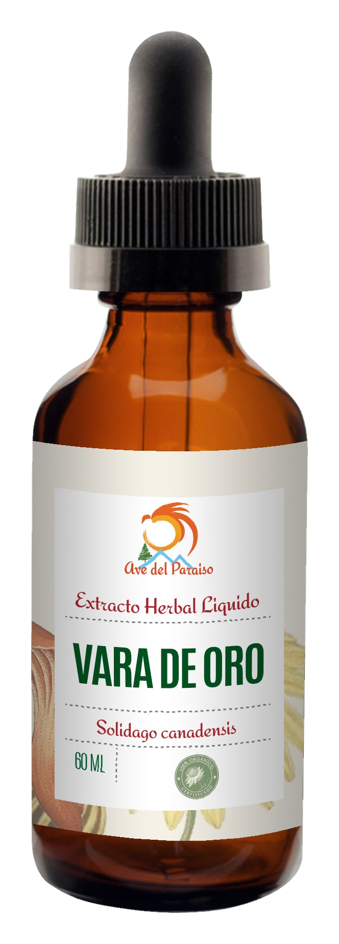 Vara de Oro, Extracto Orgánico 60ml