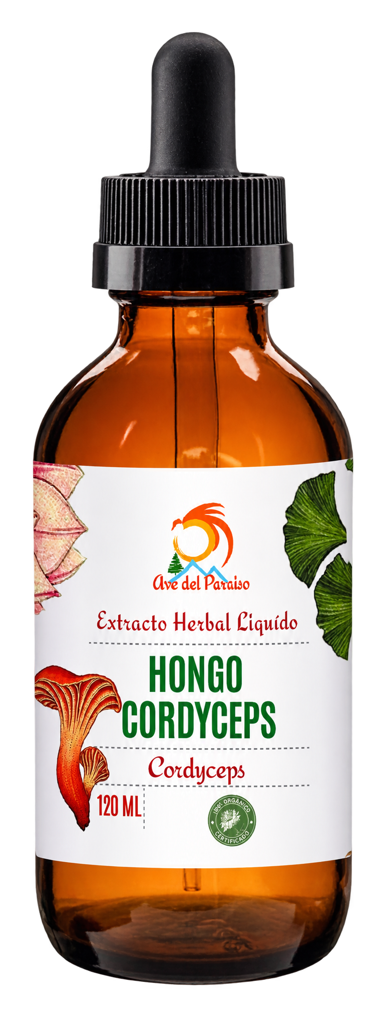 Extracto de Hongo Cordyceps, 120 ML -Hongos Adaptógenos I Nootrópicos I Aumenta Energía | Soporte Respiratorio