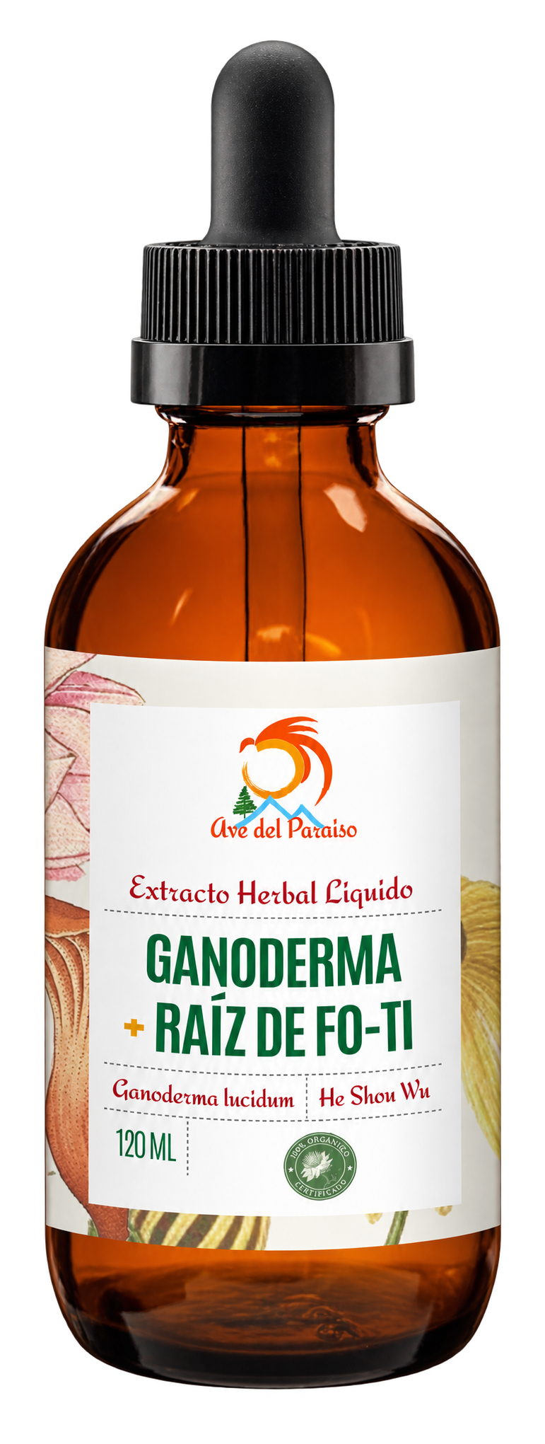 Ganoderma y Fo-Ti, Extracto Orgánico 120 ml