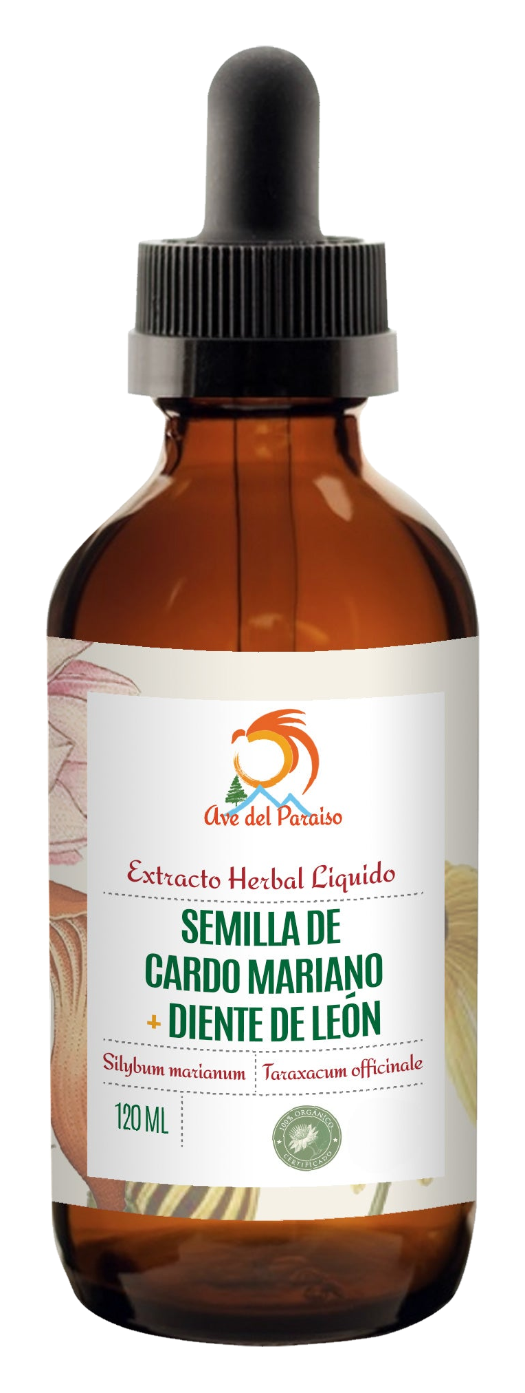 Semilla de Cardo Mariano y Diente de León, Apoyo hepático y Depuración